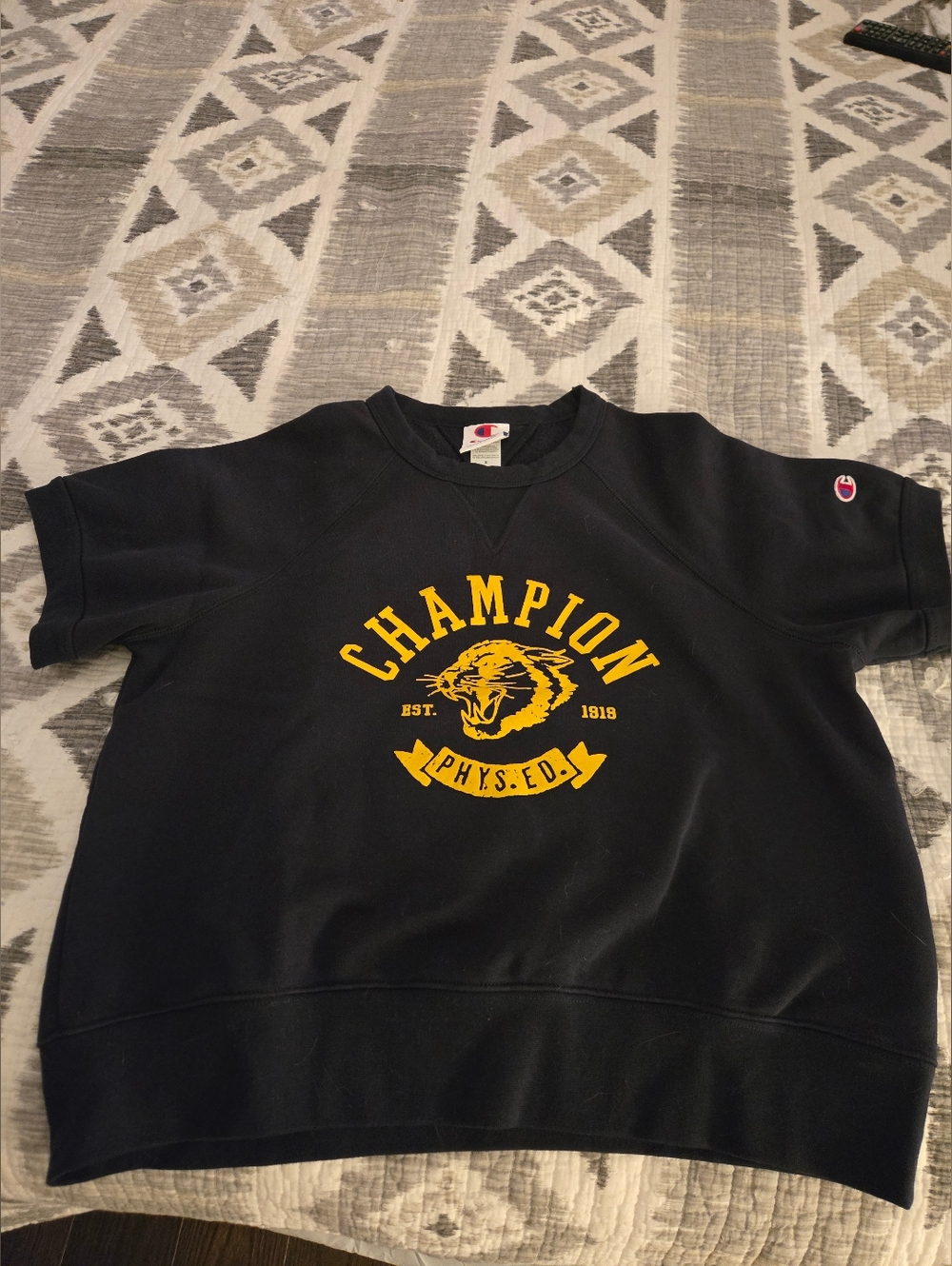 Champion Blue Short-Sleeve Sweatshirt with Yellow Graphic